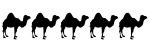 5 Camels